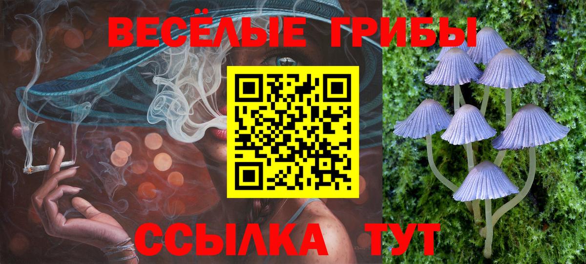 Узловая  Галлюциногенные грибы MAGIC MUSHROOMS  Вход с VPN 