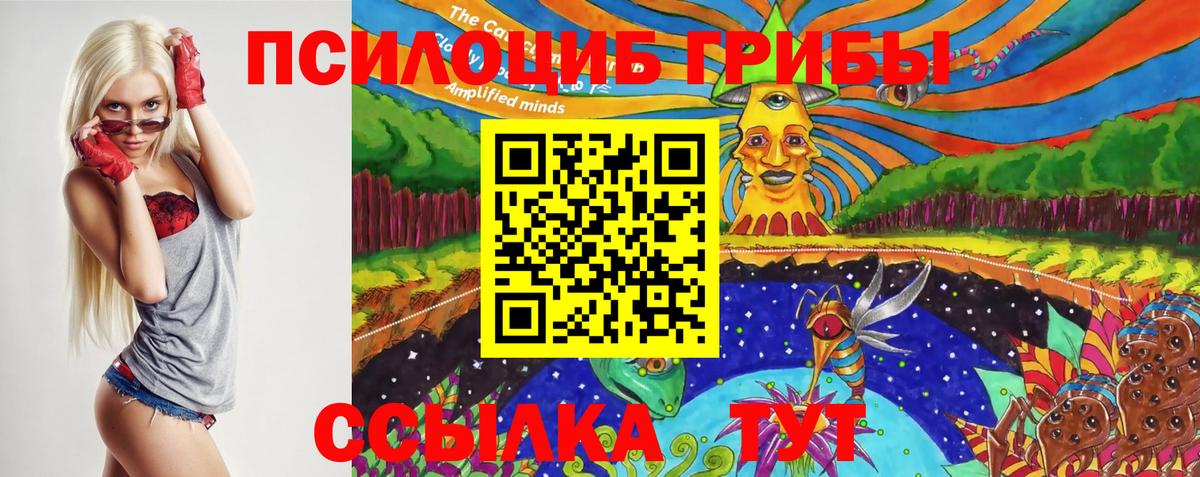 Бошки Шишки Узловая
