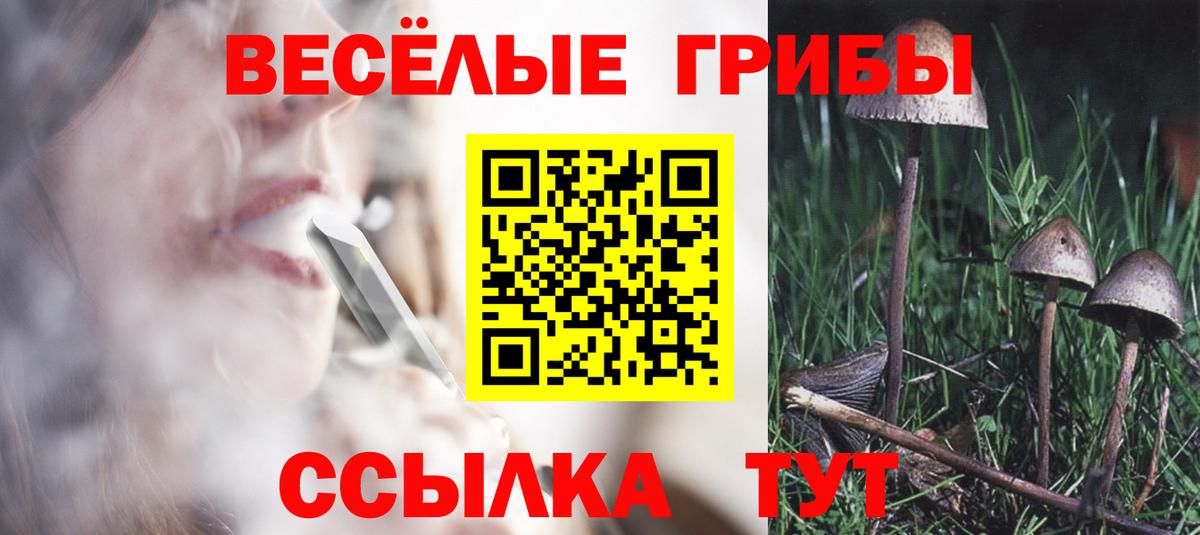 Псилоцибиновые грибы GOLDEN TEACHER Узловая